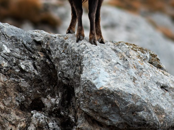 Lotte e amori ad alta quota
